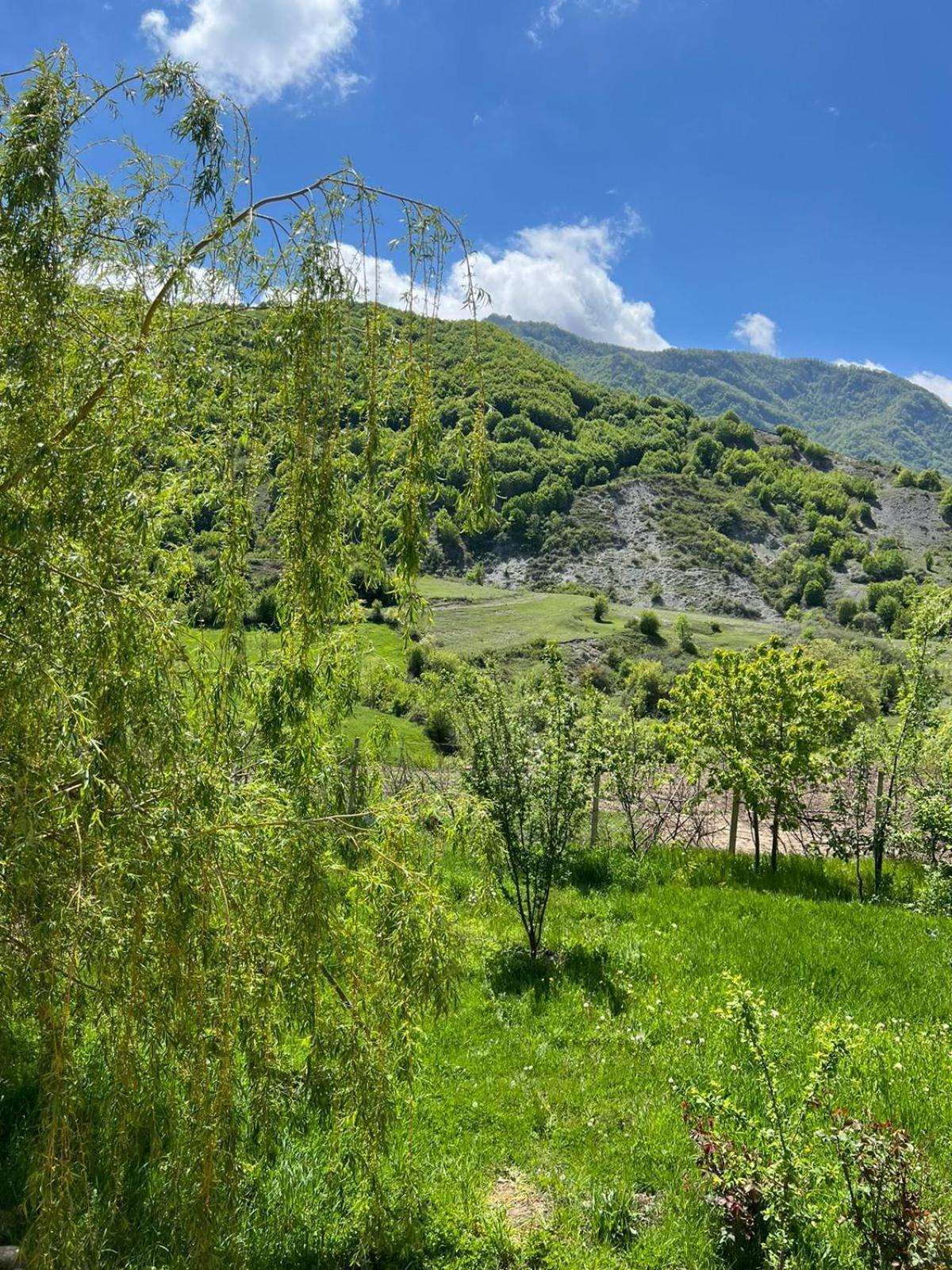 Ismayilli Guest House Lahic Dış mekan fotoğraf